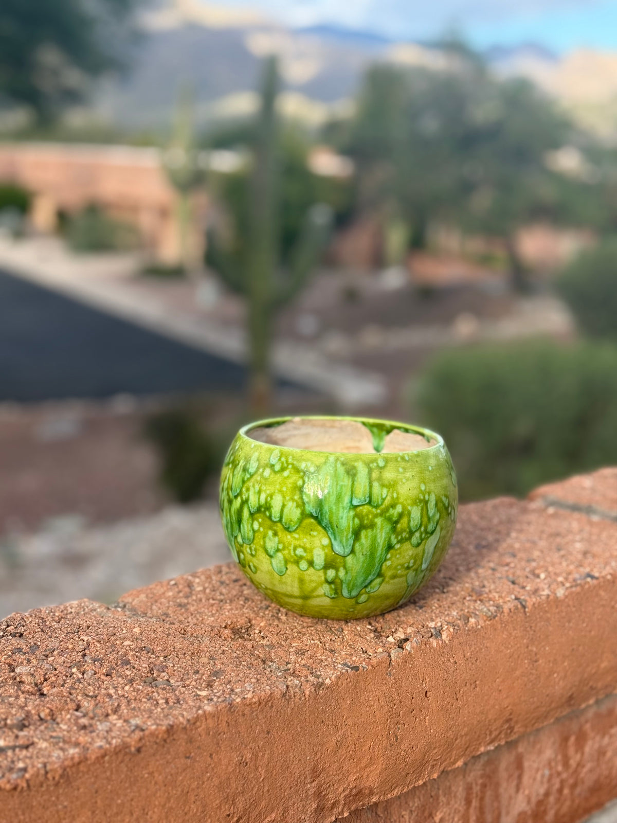 Small Green Planter