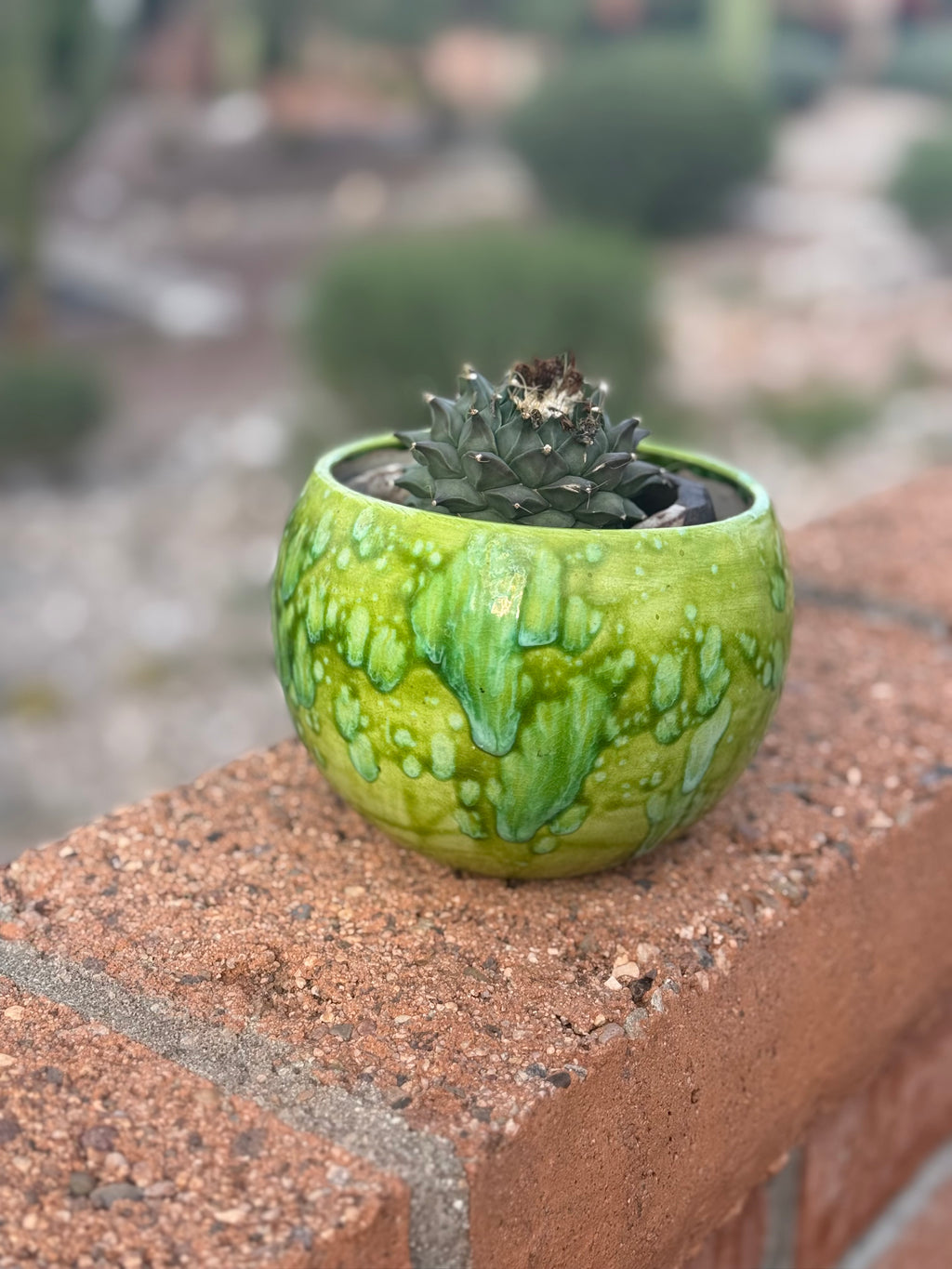 Small Green Planter